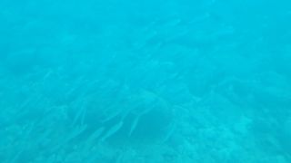 2025-10-GC-Submariane Adventure-36.jpg